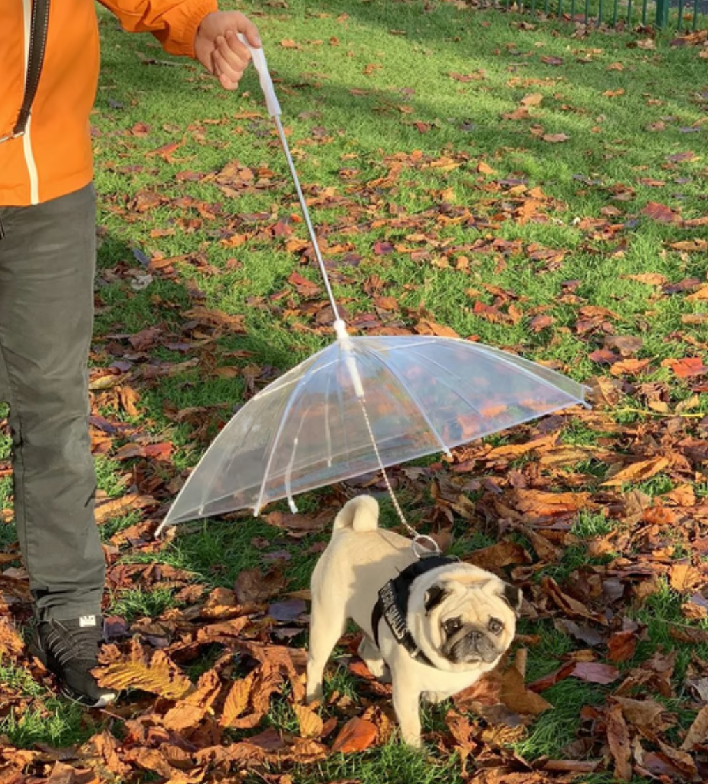 Rainproof Umbrella Dog Leash